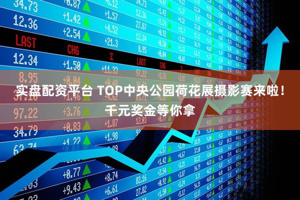 实盘配资平台 TOP中央公园荷花展摄影赛来啦！千元奖金等你拿