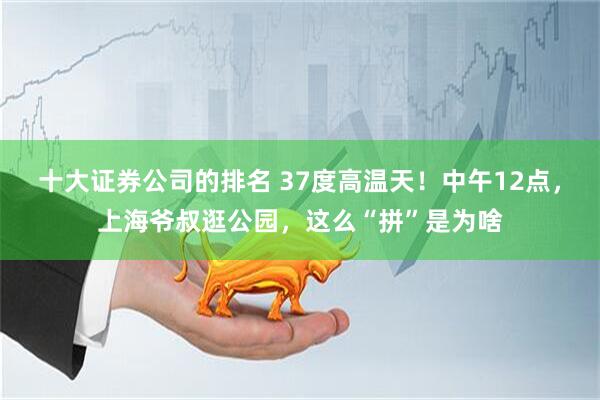 十大证券公司的排名 37度高温天！中午12点，上海爷叔逛公园，这么“拼”是为啥