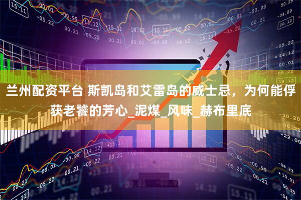 兰州配资平台 斯凯岛和艾雷岛的威士忌，为何能俘获老饕的芳心_泥煤_风味_赫布里底