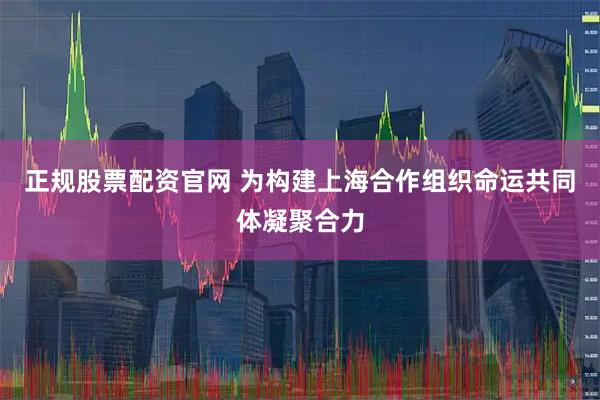 正规股票配资官网 为构建上海合作组织命运共同体凝聚合力