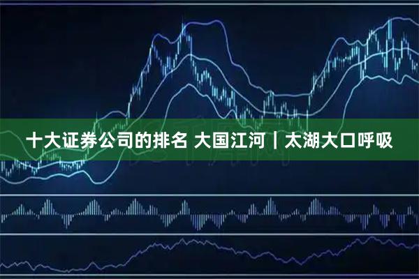 十大证券公司的排名 大国江河｜太湖大口呼吸